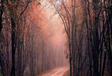 英媒：修冬奥雪橇赛道，米兰与时间赛跑环球时报.