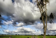 韩国媒体爆料北京女排不让张宇邓忻朋再出国！俱乐部才是留洋障碍.