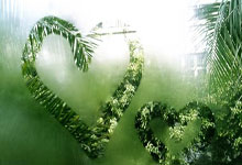 新加坡网球公开赛：梅尔腾斯击败李安 捧走冠军.