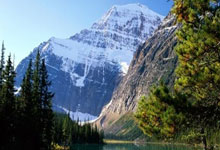 多多28官网：赛季首秀 谢震业夺全国室内田径锦标赛60米冠军.