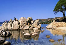 多多28官网：又1次无球踢，离开中超亚军，31岁现役国脚又没下家，最快1周失业.